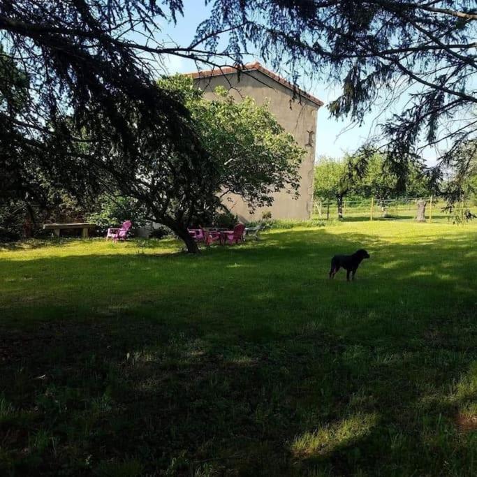 Gite La Roche Paisible Saint-Julien-de-Coppel Zewnętrze zdjęcie